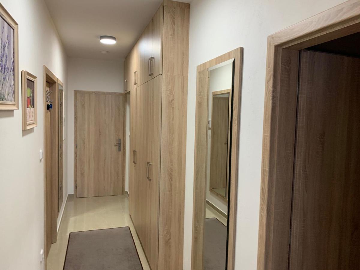 Apartment Rezidence - Javor & Wellness Železná Ruda المظهر الخارجي الصورة