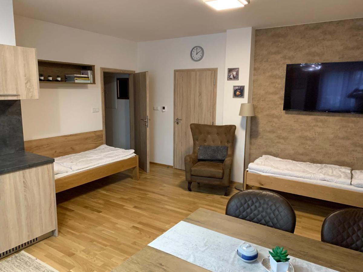 Apartment Rezidence - Javor & Wellness Železná Ruda المظهر الخارجي الصورة