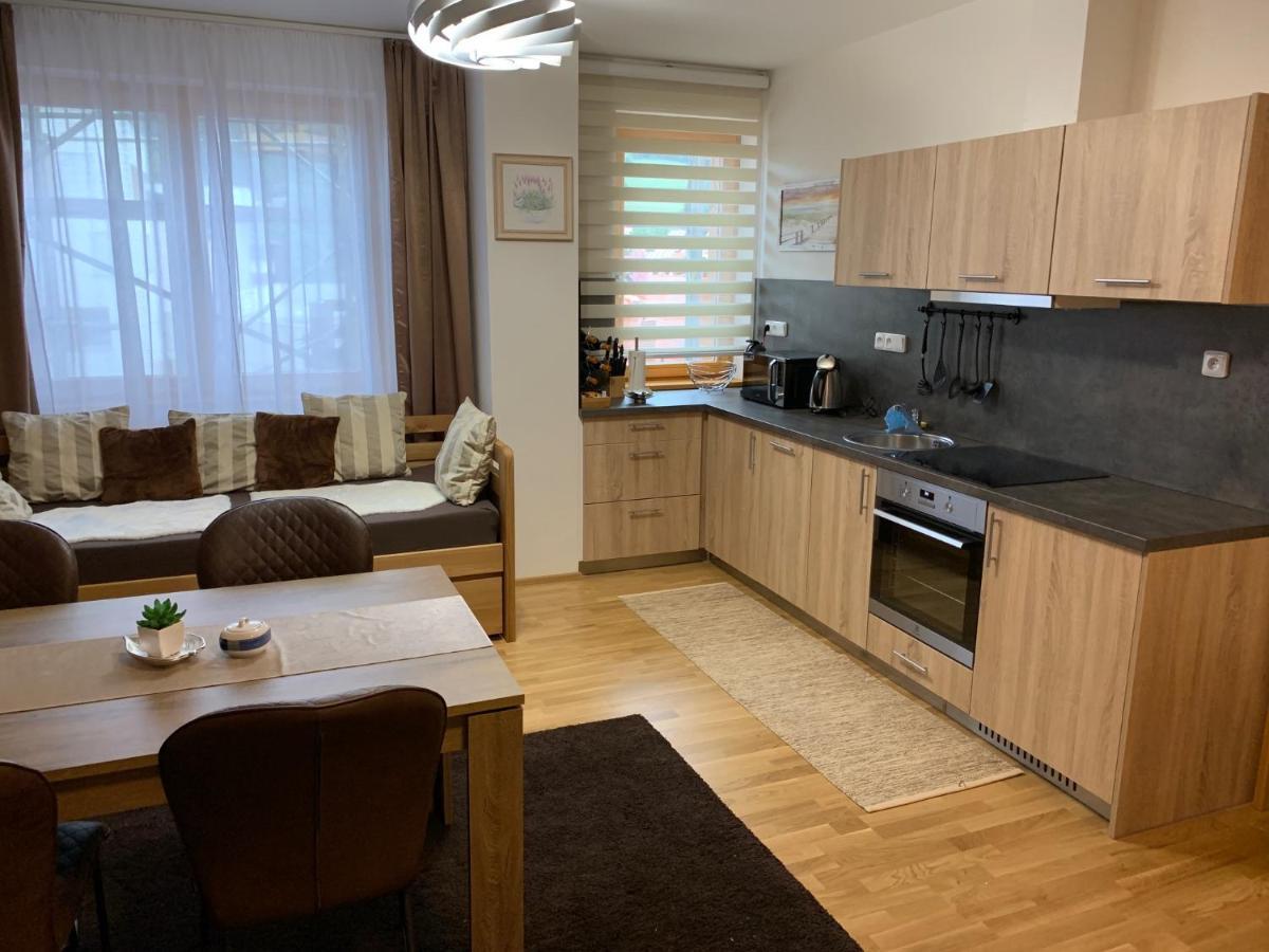 Apartment Rezidence - Javor & Wellness Železná Ruda المظهر الخارجي الصورة